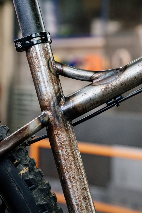CODADURA SERIE SPECIALE 000 - immagine 13